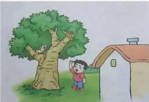 中学篮球战术训练方法有哪些_2